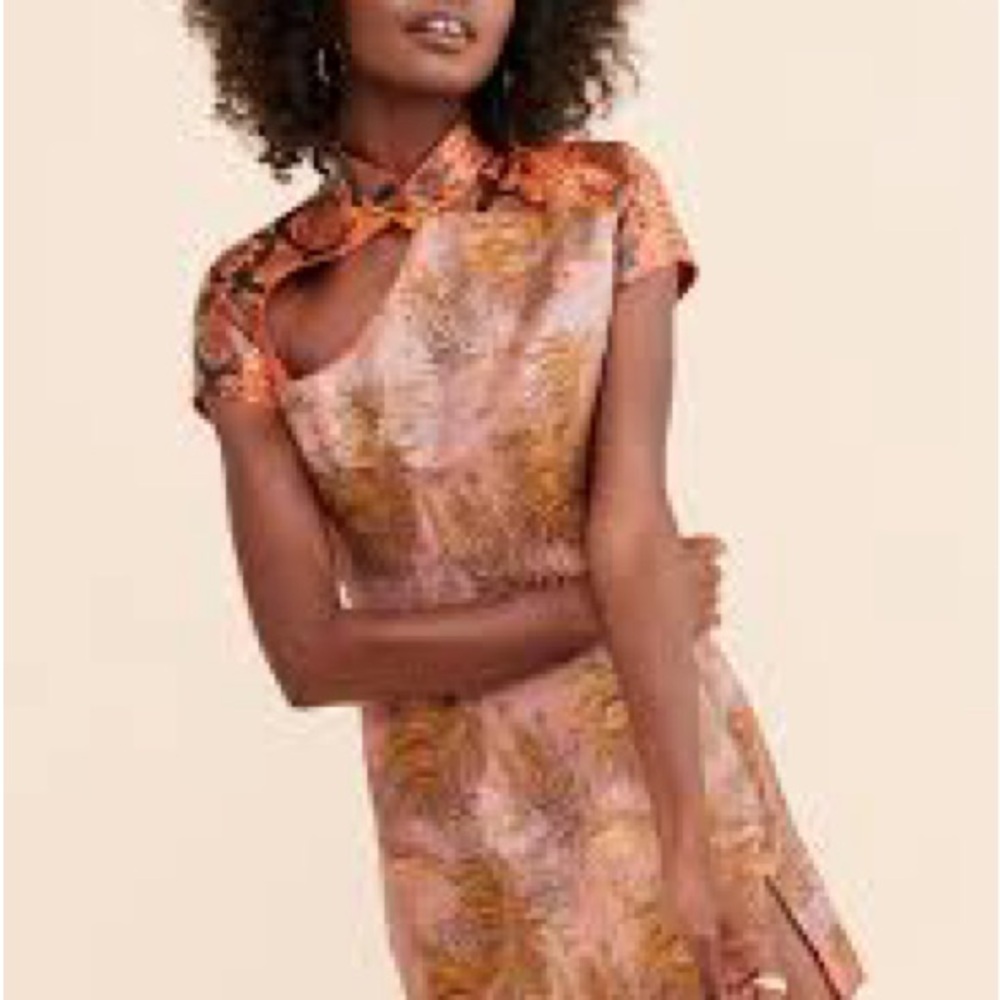 NWOT Kim Shui Pink and Gold Asymmetrical Dress